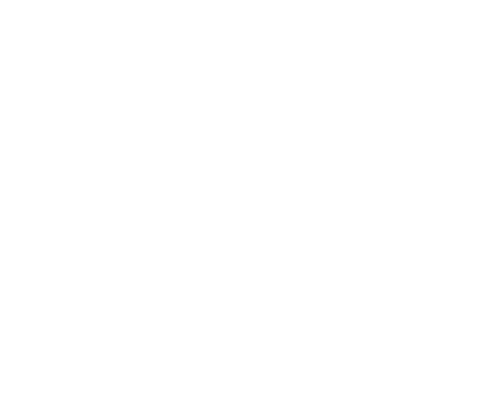 Ayşen Alkan
